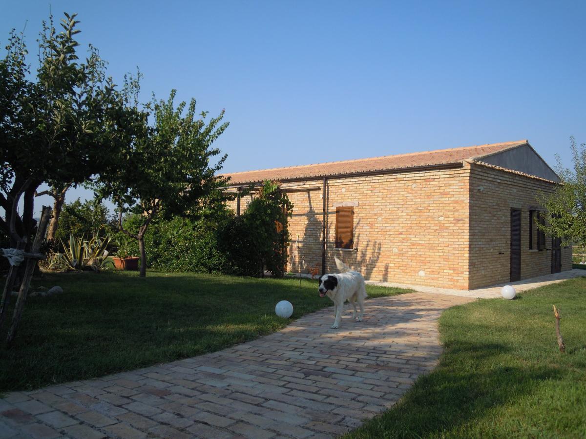 Agriturismo Piccolo Albero Loreto Aprutino Exteriér fotografie